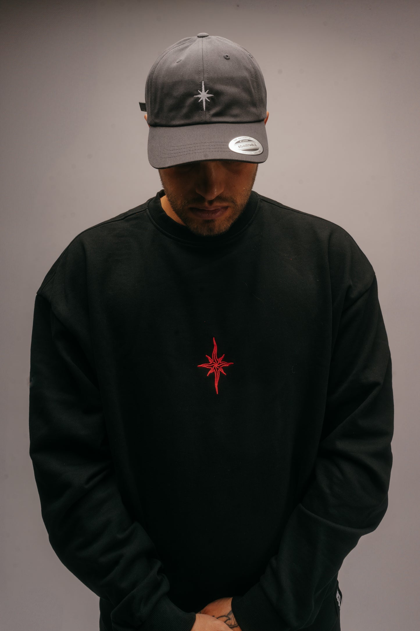 STAR Logo Dad Cap Grey